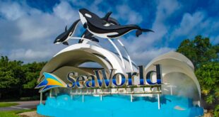 seaworld abu dhabi tickets