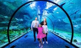 21. National Aquarium Abu Dhabi