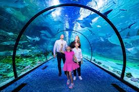 21. National Aquarium Abu Dhabi