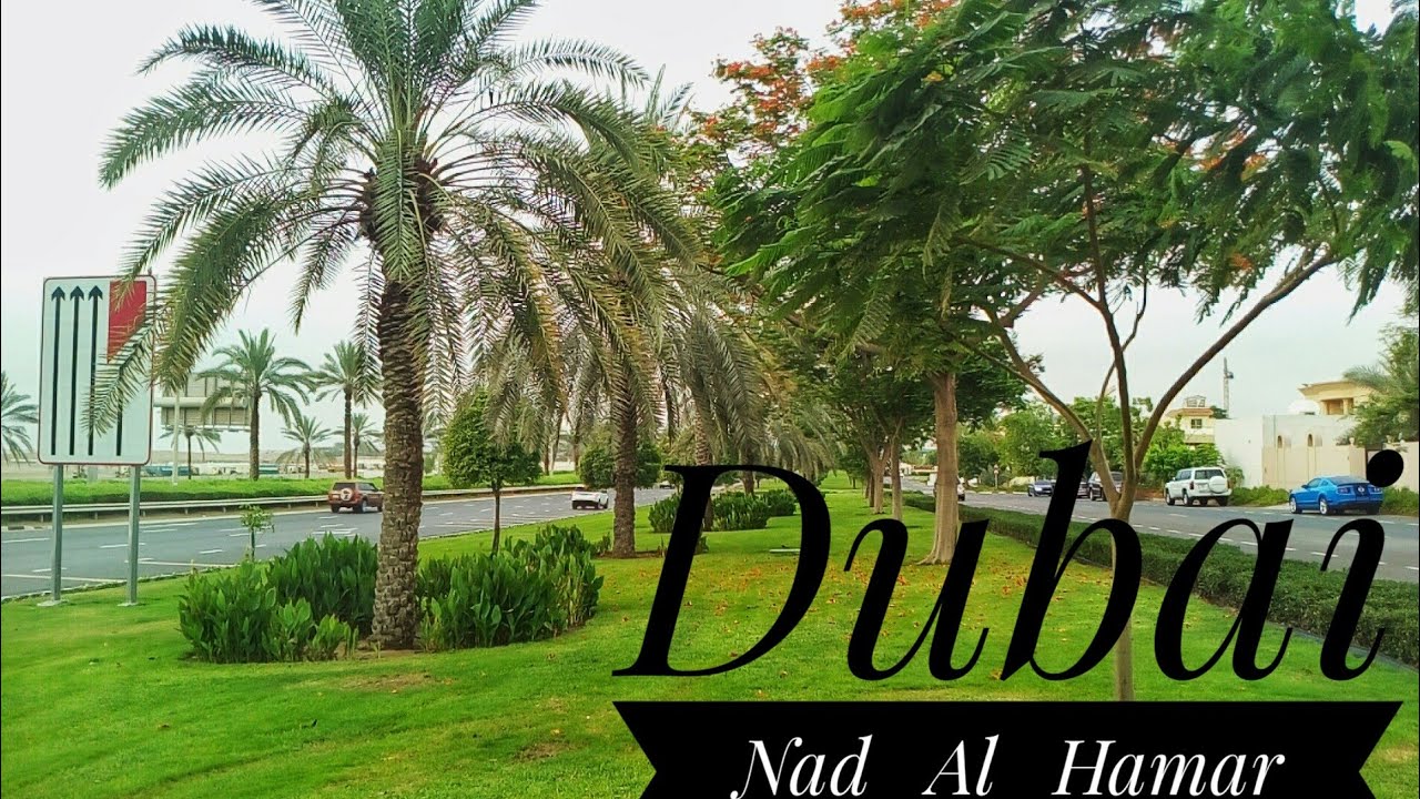 nadd al hamar dubai