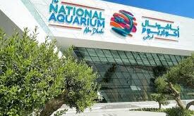 aquarium abu dhabi